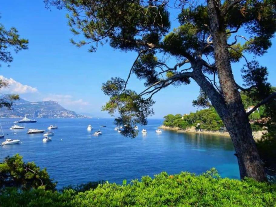 2P Neuf Au Coeur De St Jean Cap Ferrat Saint-Jean-Cap-Ferrat Exterior foto